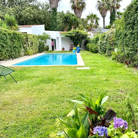Casa Cores -